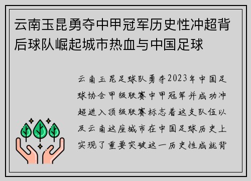 云南玉昆勇夺中甲冠军历史性冲超背后球队崛起城市热血与中国足球 云南玉昆勇夺中甲冠军历史性冲超背后球队崛起城市热血与中国足球